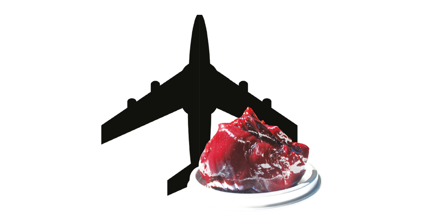 Speed Air Grease FSX 100